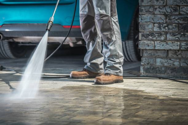 Best Winterizing Services  in Mayo, SC