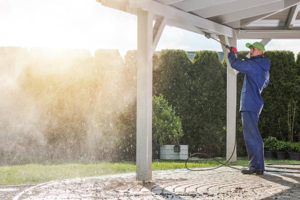 Best Fence Cleaning  in Mayo, SC
